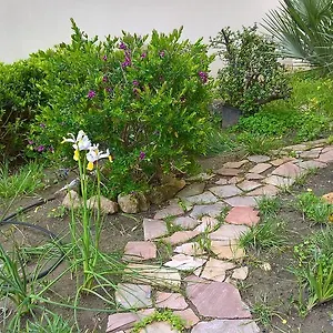 Tulipano , Alguer Italia